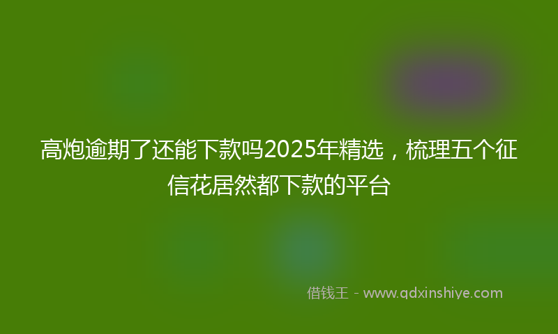 高炮逾期了还能下款吗2025年精选，梳理五个征信花居然都下款的平台