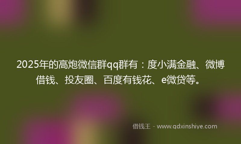 2025年的高炮微信群qq群有：度小满金融、微博借钱、投友圈、百度有钱花、e微贷等。