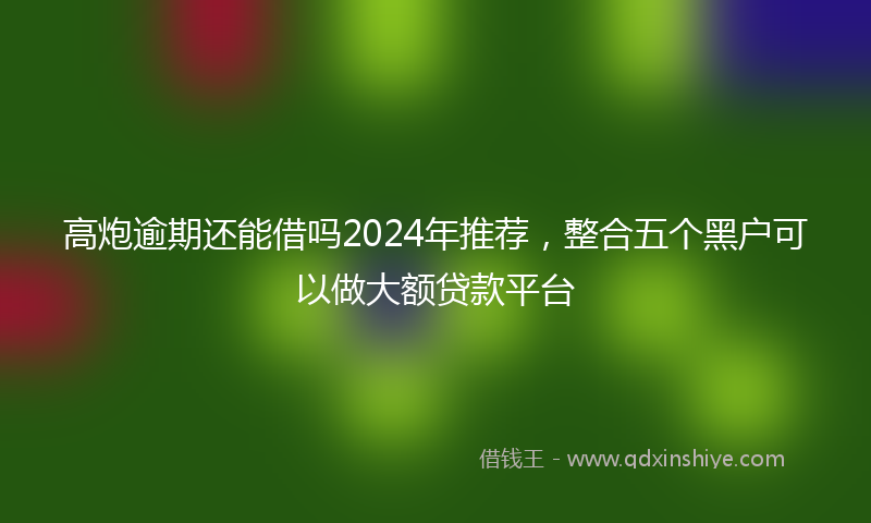 高炮逾期还能借吗2024年推荐，整合五个黑户可以做大额贷款平台