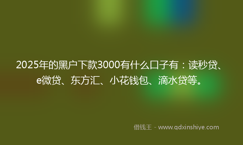 2025年的黑户下款3000有什么口子有：读秒贷、e微贷、东方汇、小花钱包、滴水贷等。
