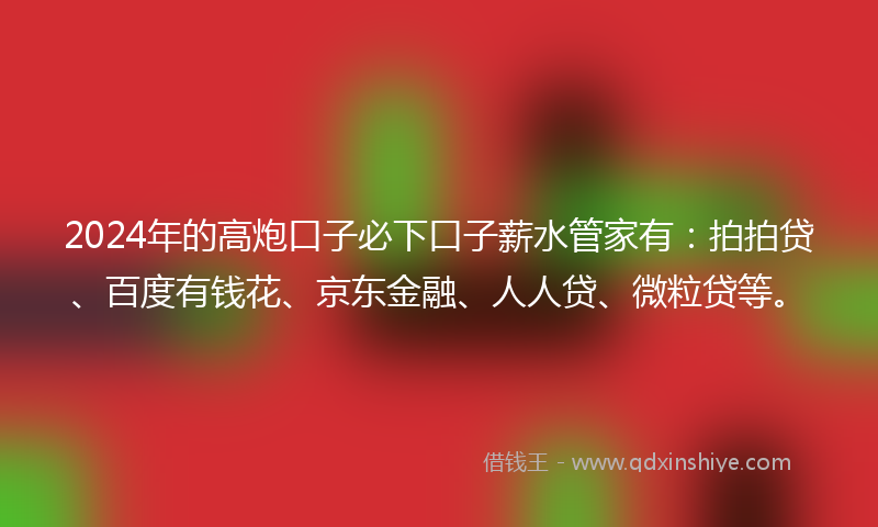 2024年的高炮口子必下口子薪水管家有：拍拍贷、百度有钱花、京东金融、人人贷、微粒贷等。