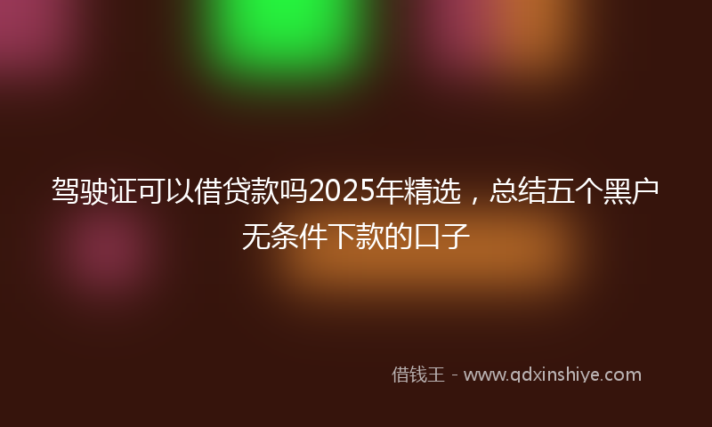 驾驶证可以借贷款吗2025年精选，总结五个黑户无条件下款的口子