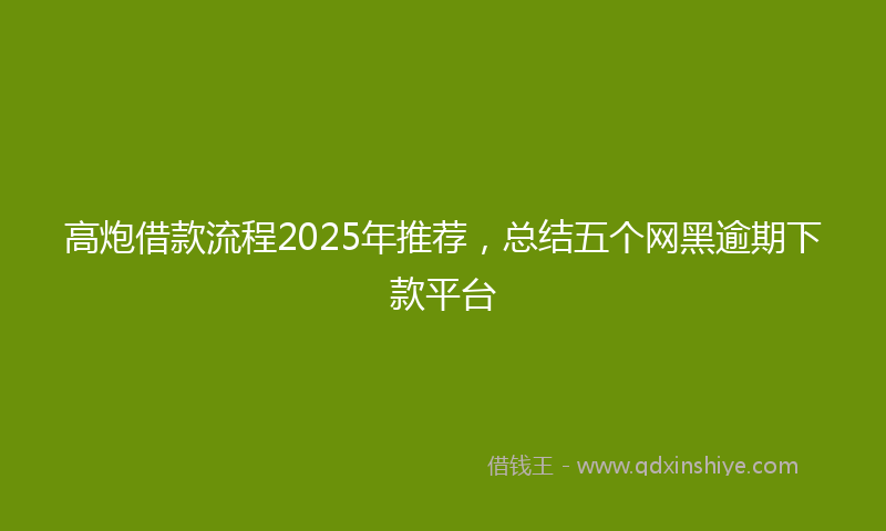 高炮借款流程2025年推荐，总结五个网黑逾期下款平台