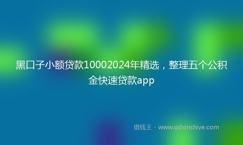 黑口子小额贷款10002024年精选，整理五个公积金快速贷款app