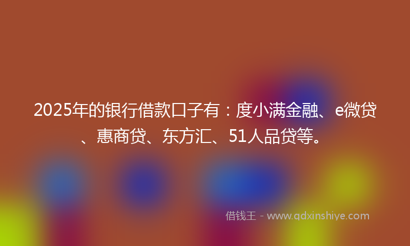 2025年的银行借款口子有：度小满金融、e微贷、惠商贷、东方汇、51人品贷等。