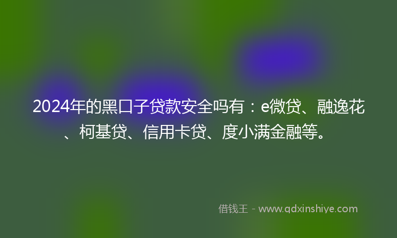 2024年的黑口子贷款安全吗有：e微贷、融逸花、柯基贷、信用卡贷、度小满金融等。