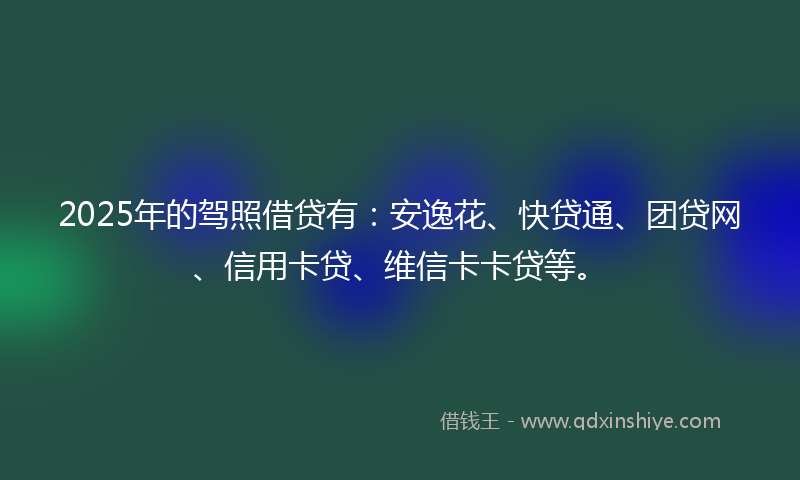 2025年的驾照借贷有：安逸花、快贷通、团贷网、信用卡贷、维信卡卡贷等。