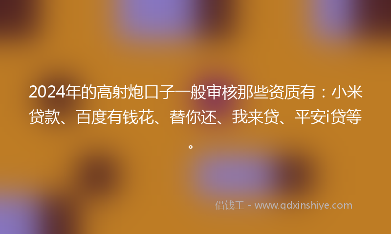 2024年的高射炮口子一般审核那些资质有：小米贷款、百度有钱花、替你还、我来贷、平安i贷等。