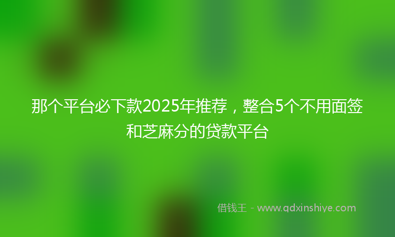 那个平台必下款2025年推荐，整合5个不用面签和芝麻分的贷款平台