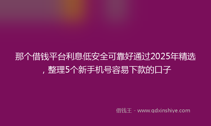 那个借钱平台利息低安全可靠好通过2025年精选，整理5个新手机号容易下款的口子