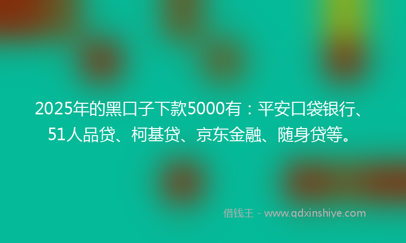 2025年的黑口子下款5000有：平安口袋银行、51人品贷、柯基贷、京东金融、随身贷等。