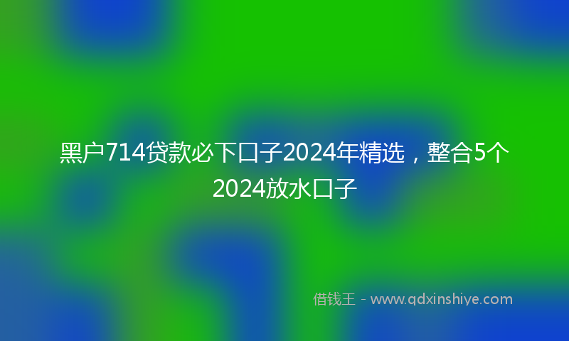 黑户714贷款必下口子2024年精选，整合5个2024放水口子