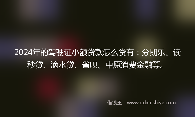 2024年的驾驶证小额贷款怎么贷有：分期乐、读秒贷、滴水贷、省呗、中原消费金融等。