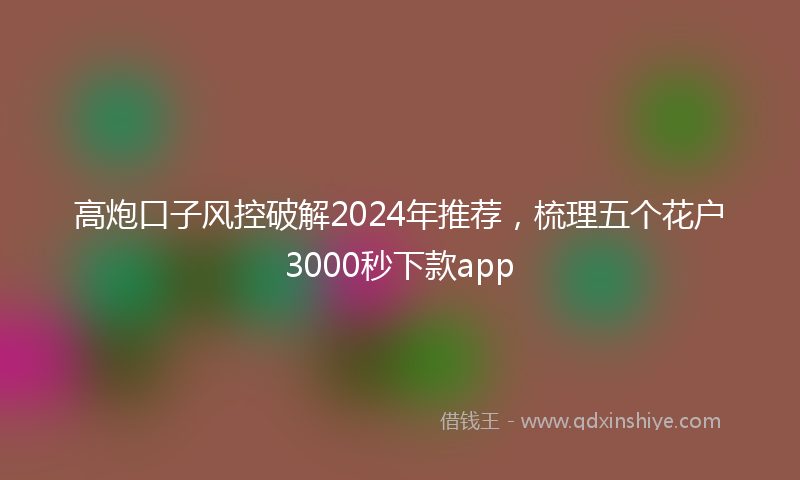 高炮口子风控破解2024年推荐，梳理五个花户3000秒下款app