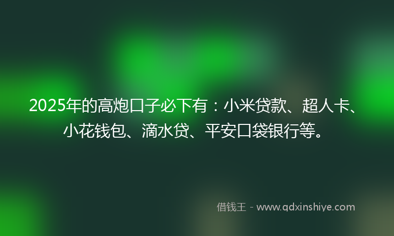 2025年的高炮口子必下有：小米贷款、超人卡、小花钱包、滴水贷、平安口袋银行等。