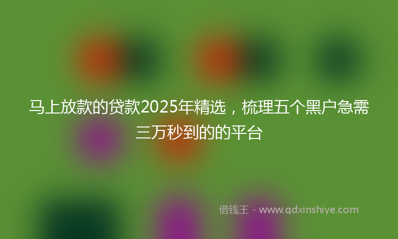 马上放款的贷款2025年精选，梳理五个黑户急需三万秒到的的平台