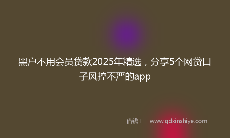 黑户不用会员贷款2025年精选，分享5个网贷口子风控不严的app