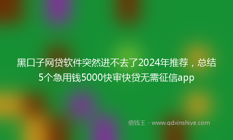 黑口子网贷软件突然进不去了2024年推荐，总结5个急用钱5000快审快贷无需征信app