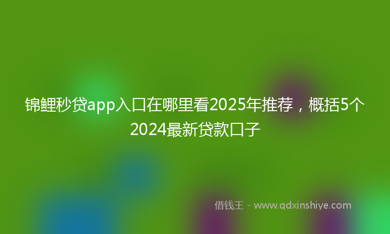 锦鲤秒贷app入口在哪里看2025年推荐，概括5个2024最新贷款口子