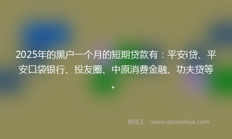 2025年的黑户一个月的短期贷款有：平安i贷、平安口袋银行、投友圈、中原消费金融、功夫贷等。