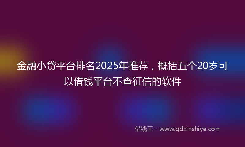 金融小贷平台排名2025年推荐，概括五个20岁可以借钱平台不查征信的软件
