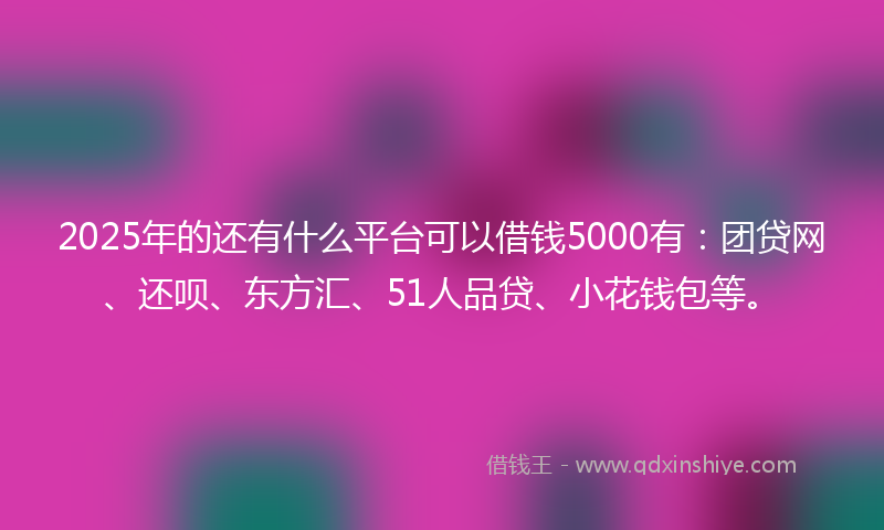 2025年的还有什么平台可以借钱5000有：团贷网、还呗、东方汇、51人品贷、小花钱包等。