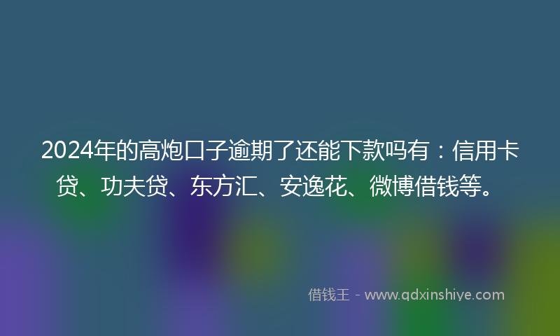 2024年的高炮口子逾期了还能下款吗有：信用卡贷、功夫贷、东方汇、安逸花、微博借钱等。