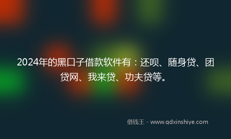 2024年的黑口子借款软件有：还呗、随身贷、团贷网、我来贷、功夫贷等。