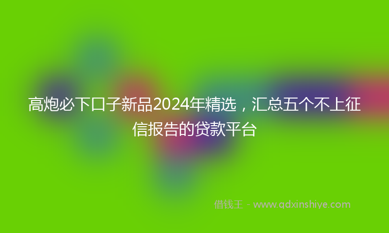 高炮必下口子新品2024年精选，汇总五个不上征信报告的贷款平台
