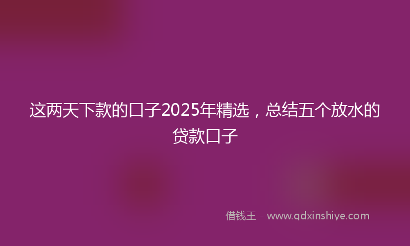 这两天下款的口子2025年精选，总结五个放水的贷款口子