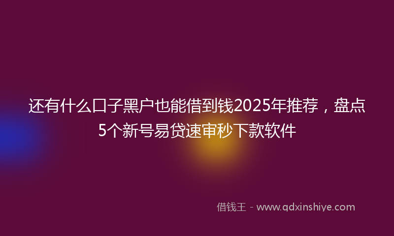 还有什么口子黑户也能借到钱2025年推荐，盘点5个新号易贷速审秒下款软件