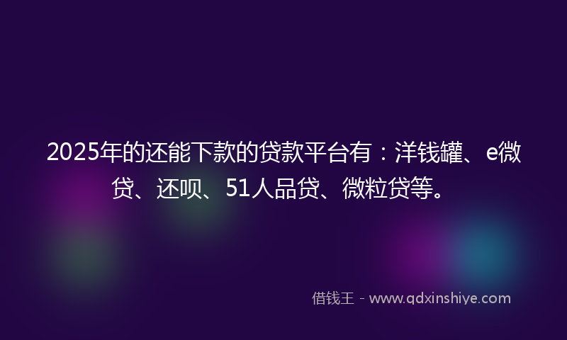 2025年的还能下款的贷款平台有：洋钱罐、e微贷、还呗、51人品贷、微粒贷等。