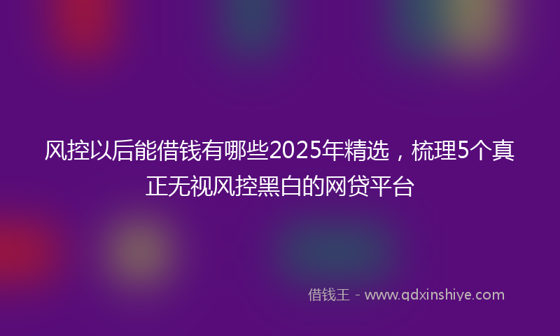 风控以后能借钱有哪些2025年精选，梳理5个真正无视风控黑白的网贷平台