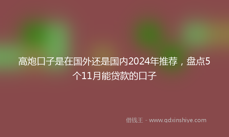 高炮口子是在国外还是国内2024年推荐，盘点5个11月能贷款的口子