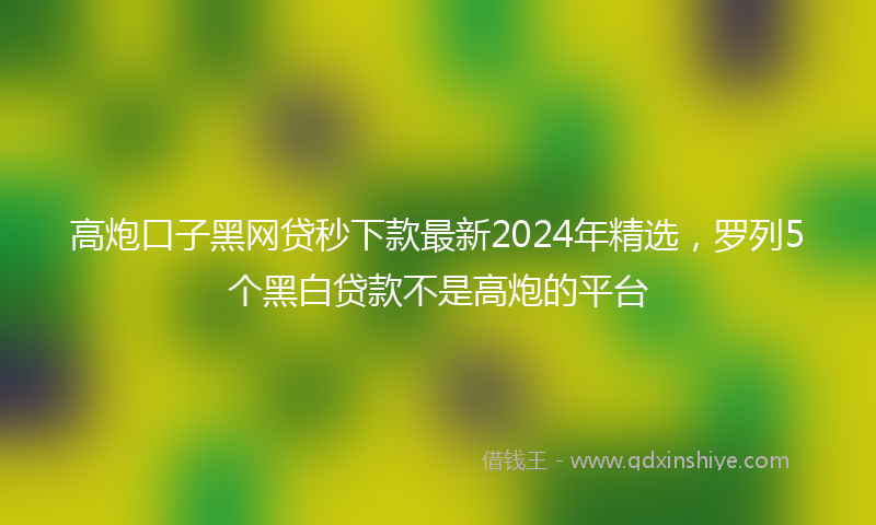 高炮口子黑网贷秒下款最新2024年精选，罗列5个黑白贷款不是高炮的平台