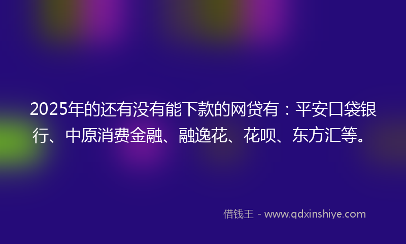 2025年的还有没有能下款的网贷有：平安口袋银行、中原消费金融、融逸花、花呗、东方汇等。