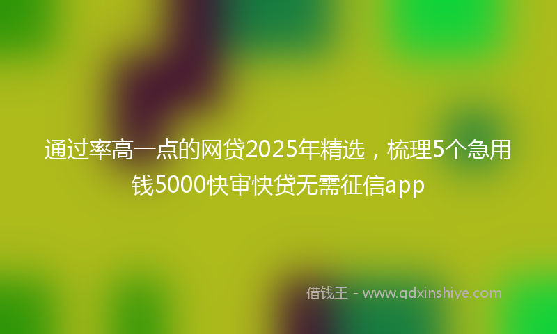 通过率高一点的网贷2025年精选，梳理5个急用钱5000快审快贷无需征信app