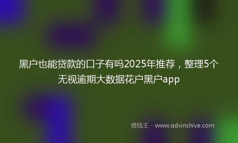 黑户也能贷款的口子有吗2025年推荐，整理5个无视逾期大数据花户黑户app