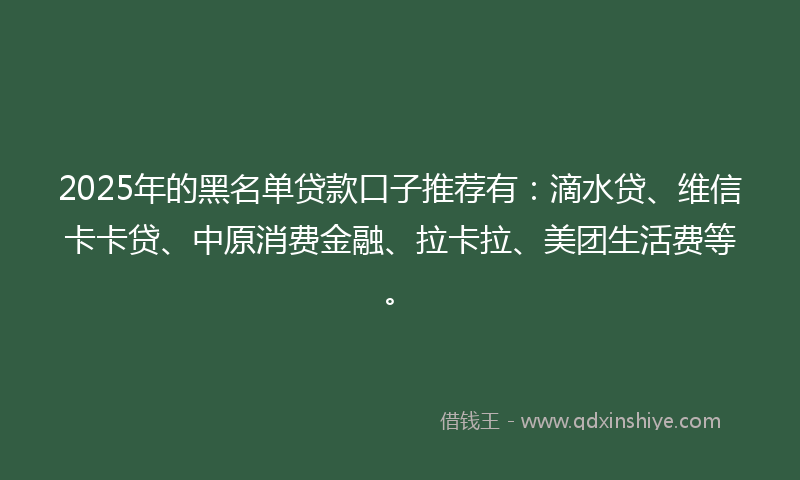 2025年的黑名单贷款口子推荐有：滴水贷、维信卡卡贷、中原消费金融、拉卡拉、美团生活费等。