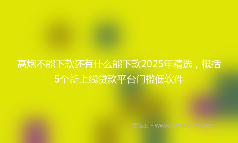 高炮不能下款还有什么能下款2025年精选，概括5个新上线贷款平台门槛低软件