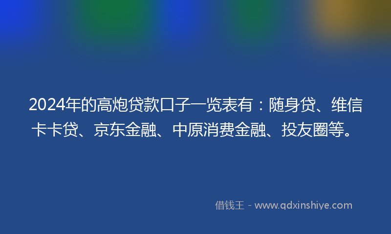 2024年的高炮贷款口子一览表有：随身贷、维信卡卡贷、京东金融、中原消费金融、投友圈等。