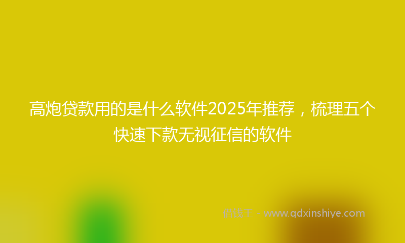 高炮贷款用的是什么软件2025年推荐，梳理五个快速下款无视征信的软件