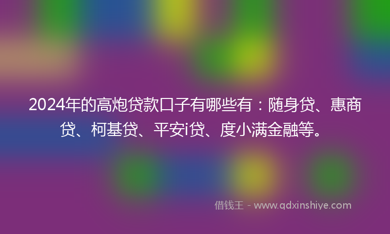 2024年的高炮贷款口子有哪些有：随身贷、惠商贷、柯基贷、平安i贷、度小满金融等。
