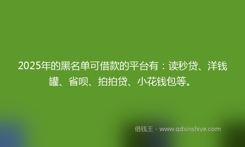 2025年的黑名单可借款的平台有：读秒贷、洋钱罐、省呗、拍拍贷、小花钱包等。