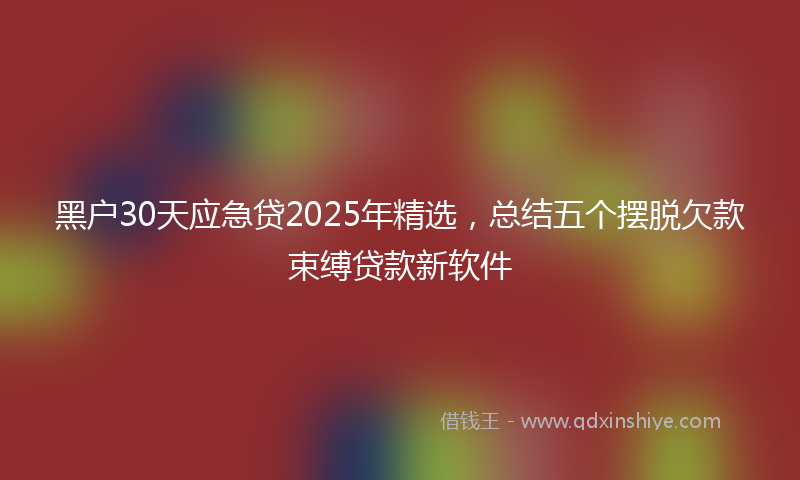 黑户30天应急贷2025年精选，总结五个摆脱欠款束缚贷款新软件