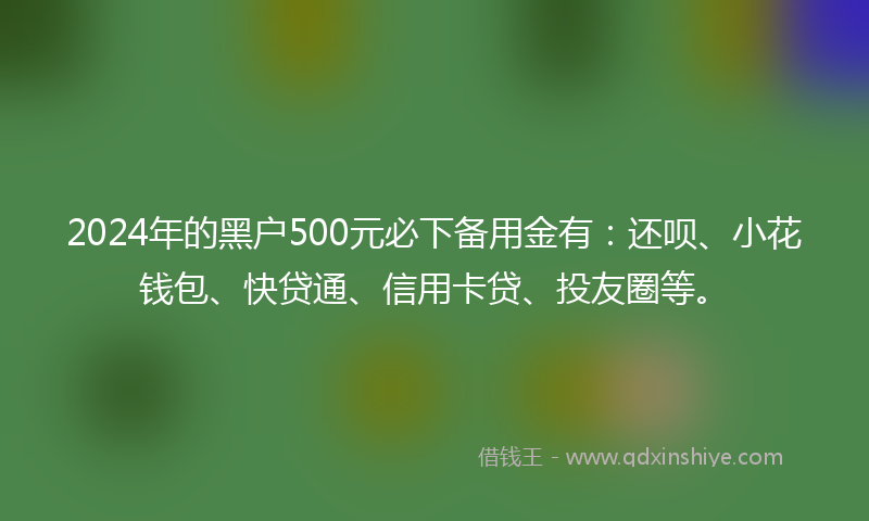 2024年的黑户500元必下备用金有：还呗、小花钱包、快贷通、信用卡贷、投友圈等。