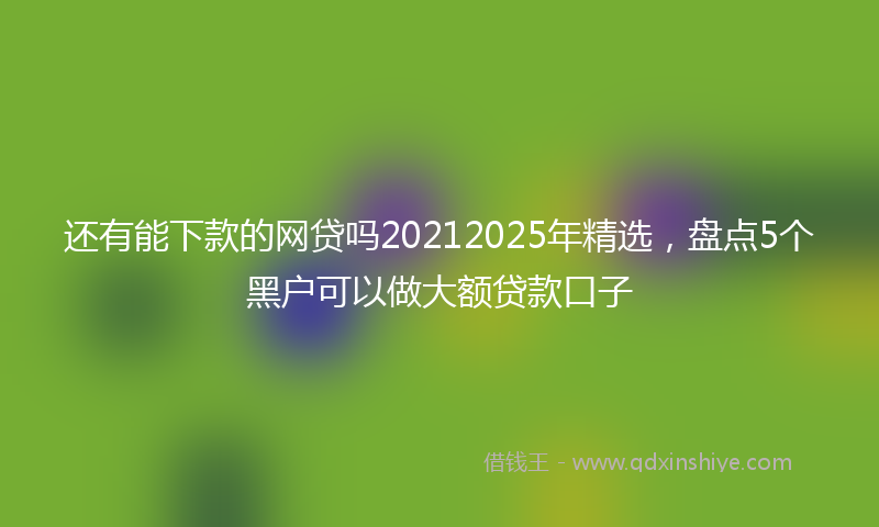 还有能下款的网贷吗20212025年精选，盘点5个黑户可以做大额贷款口子