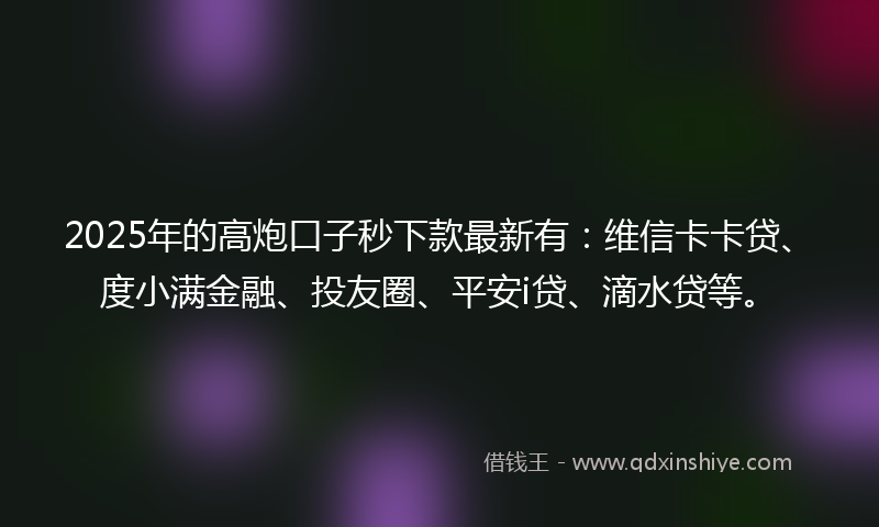 2025年的高炮口子秒下款最新有：维信卡卡贷、度小满金融、投友圈、平安i贷、滴水贷等。