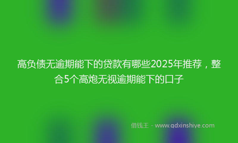 高负债无逾期能下的贷款有哪些2025年推荐，整合5个高炮无视逾期能下的口子