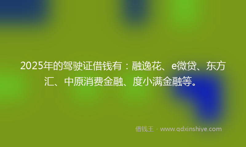 2025年的驾驶证借钱有：融逸花、e微贷、东方汇、中原消费金融、度小满金融等。